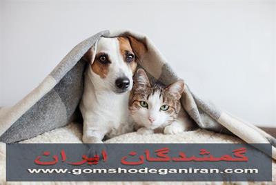 واگذاری حیوانات خانگی  و واگذاری حیوانات مزرعه در محیط امن و پایدار